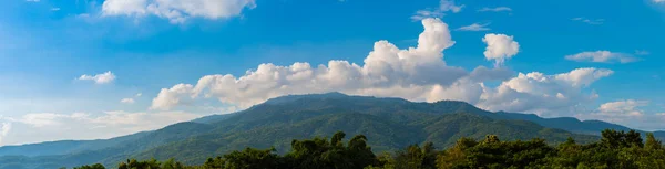 A montanha verde tropical  . — Fotografia de Stock