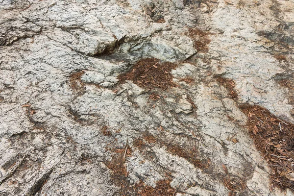 Imagen Textura Roca Granito Con Hoja Seca Del Área Cascada — Foto de Stock