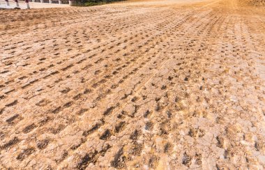 Yeni yol yüzeyi sonra sıkıştır.