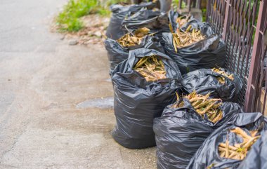 görüntü siyah çöp torbası dolu yol kenarında üzerinde kuru yaprak ile.