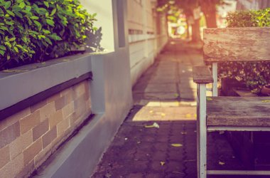 Sonbahar parkındaki bank görüntüsü.