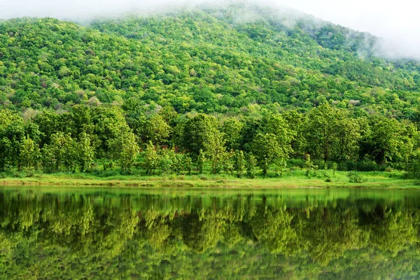 春雨过后 湖面上的美丽 阳光明媚 高山青翠 — 图库照片