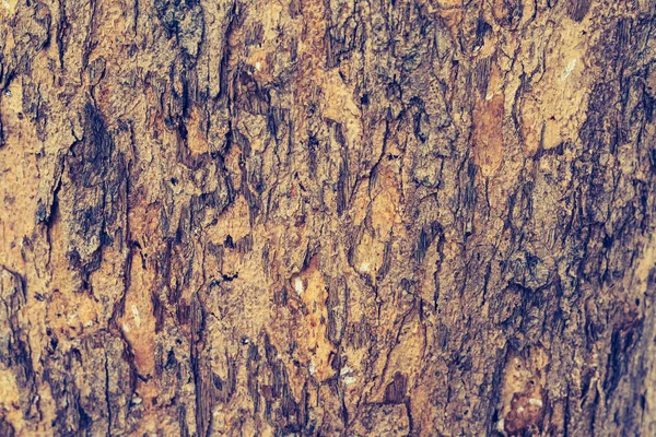 Close Shot Brown Tree Bark Background Texture — Stock Photo, Image