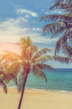 Güneşli bir günde Chakphong, Pae-Klang Yolu, Klaeng Bölgesi, Rayong Tayland 'daki Mae Pim Plajı' nın klasik ton görüntüsü. (dikey)