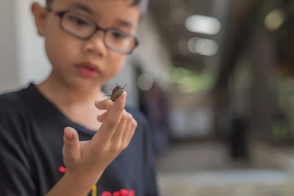 Asian boy holding worm caterpillar. — Stock Photo, Image