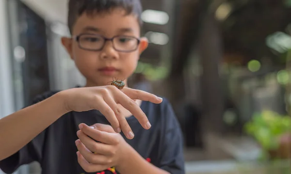 Asiático chico holding gusano oruga . — Foto de Stock