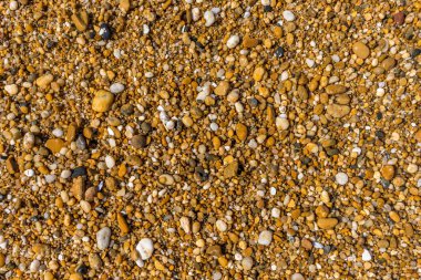 Güzel deniz çakıl taşları, her amaç için harika bir tasarım. Yaz dönemi. Taş dokusu. Yüzey tasarımı.