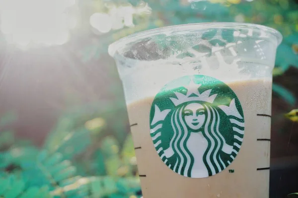 Starbucks Kavárna Latté Zelenou Rostlinou Jako Backgorud Kopírovat Prostor — Stock fotografie