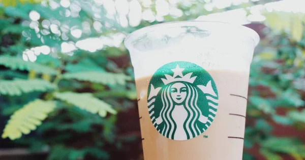 Starbucks Kawiarnia Latte Zieloną Rośliną Jako Backgorud Przestrzeń Kopiowania — Zdjęcie stockowe