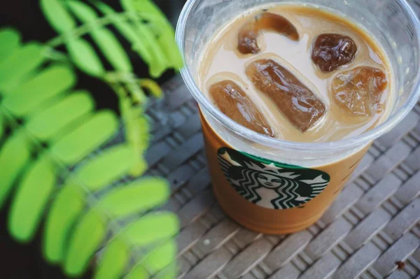 Starbucks Cafe Latte Dengan Tanaman Hijau Sebagai Backgorud Ruang Fotokopi — Stok Foto