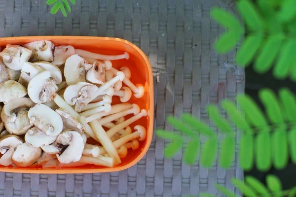 Several kind of mushrooms in a food container, copy space.