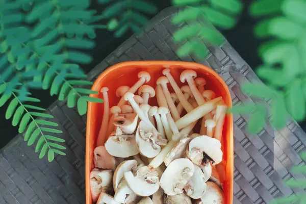 食品容器中的几种蘑菇 复制空间 — 图库照片