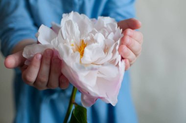 Elinde çiçek tutan bir kız. Yakın plan. Yüzü olmayan. Anneme bir hediye. Tebrik ederim. Kadınlar Günü. Anneler Günü