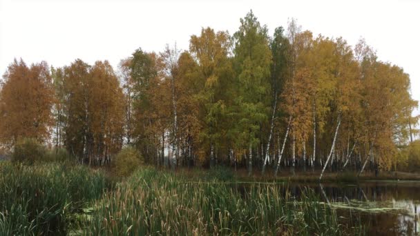 Paysage d'automne (Zone climatique tempérée )