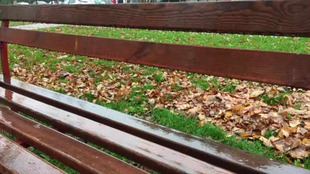 La ciudad es lluvia de otoño — Vídeo de stock