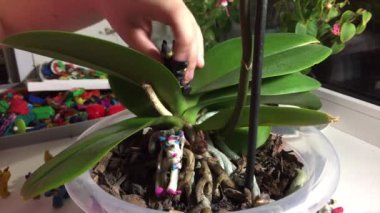 Hamuru rakamlar ile oynamak