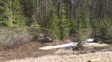 Bahar doğa araba penceresinden