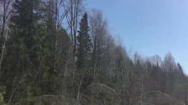 Bahar doğa araba penceresinden