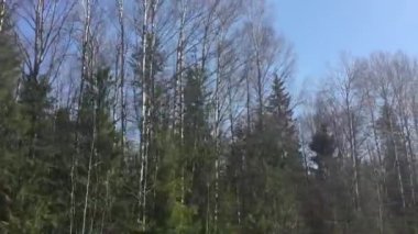 Bahar doğa araba penceresinden