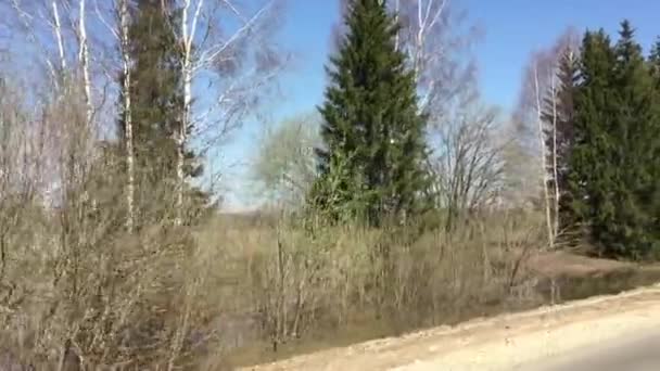 Printemps nature par la fenêtre de la voiture 