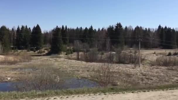 Våren naturen från bilfönstret — Stockvideo