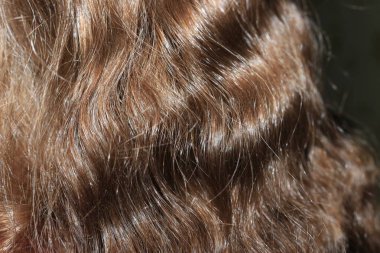 Çeşitli kadın saç modelleri