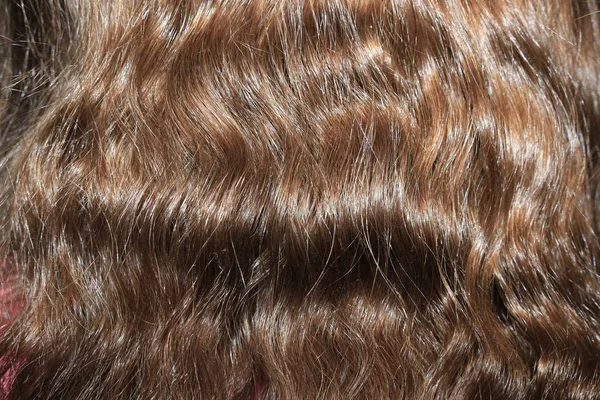 Olika kvinnors frisyrer — Stockfoto