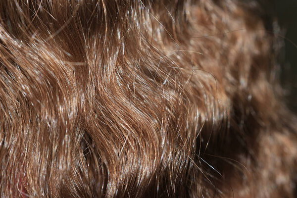 Various women's hairstyles