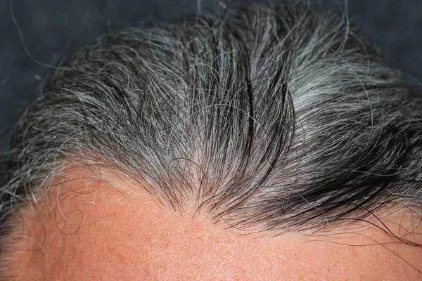 회색 머리 남자 — 스톡 사진