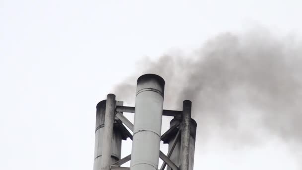 Smoke Coming Factory Pipe — Stock Video