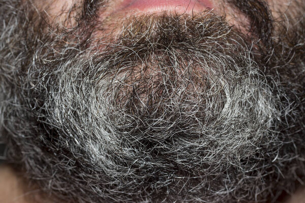 short gray beard of an elderly man