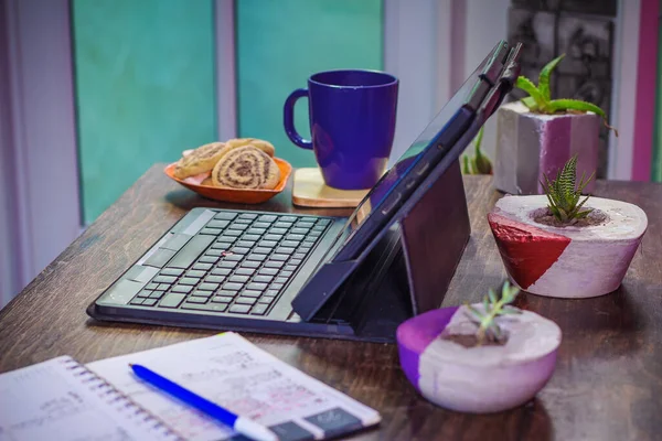 Laptop Table Homeoffice Suculents Closeup — Stock Photo, Image