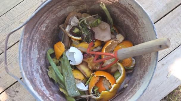 Old Bucket Vegetables Other Rubbish Make Compost — Stock Video