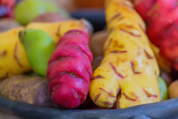 Variétés Pommes Terre Andines Macro — Photo