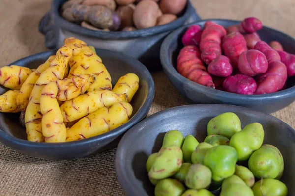 Variétés Pommes Terre Andines Poterie — Photo