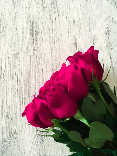 Рожеві, фіолетові троянди, букет на світлому фоні, подарунок, романтика — стокове фото
