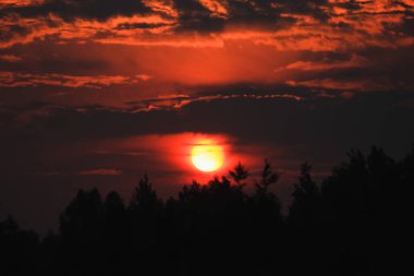 manzara, ağaçlardan, doğadan ve güneşten oluşan kırmızı günbatımı