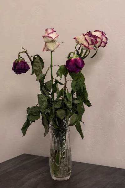 Withered multicolor five roses in a transparent vase on the table. Light background. Selective focus.