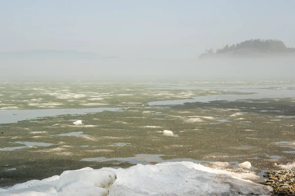湖面上的晨雾 湖面上的冰融化了 — 图库照片