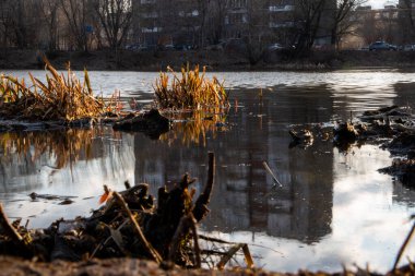 Yüksek evlerin yansımasıyla güzel bir bahar nehri. Sahilde ve suda kırılmış çimenler, çamurda kirli kıyılar..