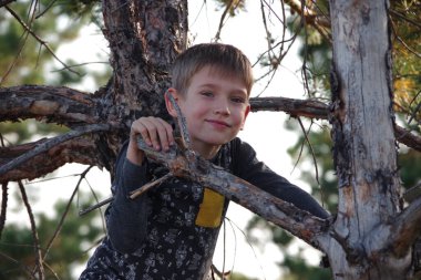 Güneşli bir günde büyük eski bir ağacın üzerinde oturan gri tişörtlü beyaz bir çocuğun portresi. Çocuk ağaca tırmanıyor..