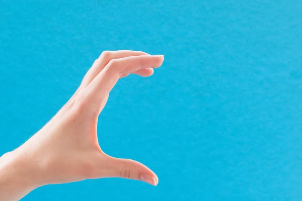 Mão Branca Feminina Fundo Azul Mostrando Gesto Tomar Algo Agarrando — Fotografia de Stock