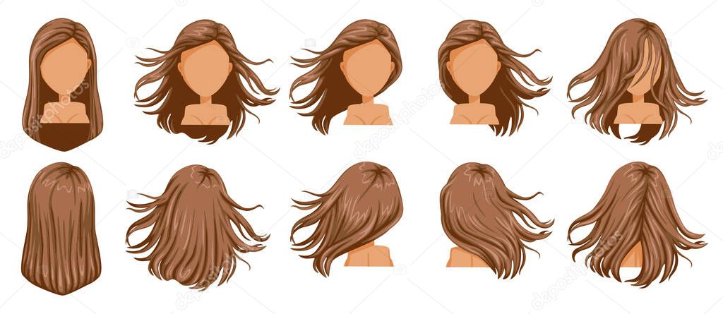 Hair blown set vector illustration