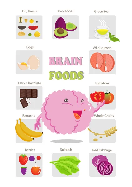 Alimentos Para Salud Cerebral Vector Ilustración — Vector de stock