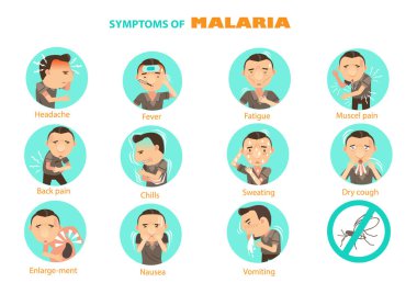 Malaria set vector illustration clipart