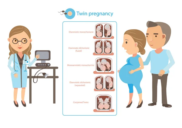 双胎妊娠病媒说明 — 图库矢量图片