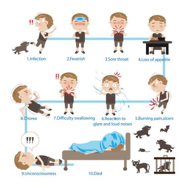 Rabies symptom vector illustration clipart
