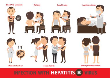 Hepatit B vektör çizimi enfeksiyonu
