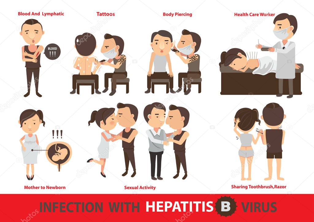 Infection hepatitis B  vector illustration