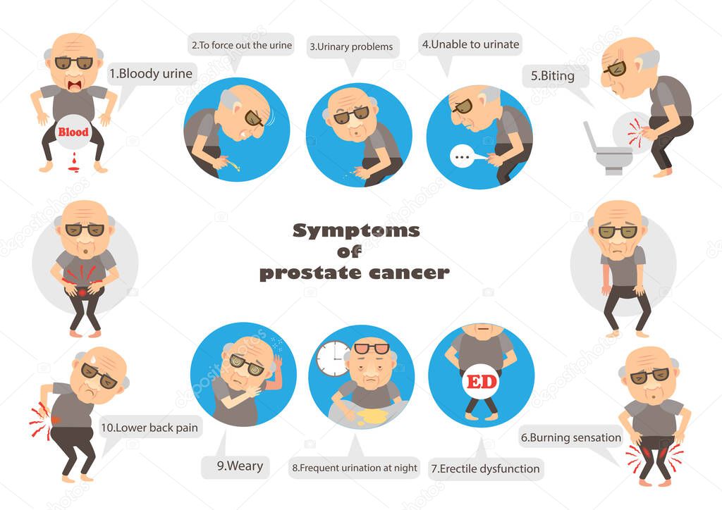 symptoms prostate cancer vector illustration
